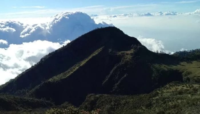 Cerita Pasar Setan di Gunung Lawu, Transaksi Tidak Menggunakan Bahasa Manusia