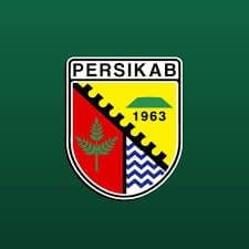 Profil skuad sepakbola Persikab Kabupaten Bandung. (Foto: Facebook)