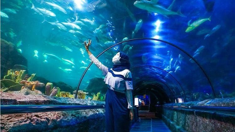 Sea World. Foto: instagram