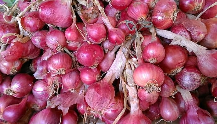 7 Manfaat Air Rendaman Bawang Merah, Bisa Atasi Kolesterol dan Gula Darah