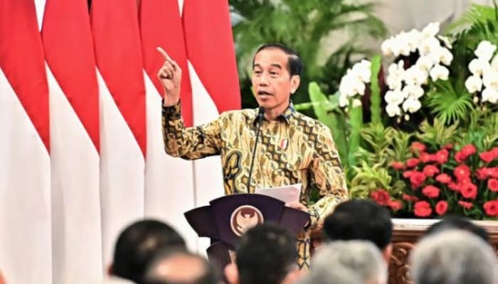 Berperan Kawal Kesinambungan Pembangunan, Jokowi Dorong BPKP Berinovasi Lewat Teknologi