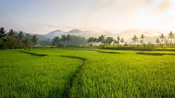 Kementerian Pekerjaan Umum dan Perumahan Rakyat (PUPR) mengungkapkan bahwa perhelatan World Water Forum ke-10 di Bali mengangkat tema peran penting infrastruktur air dalam menjaga ketahanan pangan dan energi.