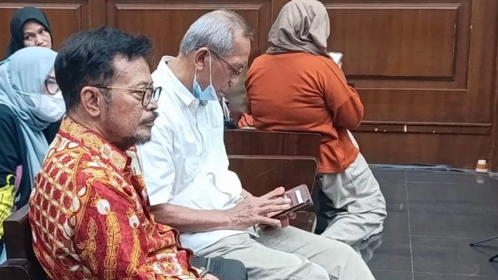 Menteri Pertanian periode 2019-2023, Syahrul Yasin Limpo (SYL). (Foto: Antara)