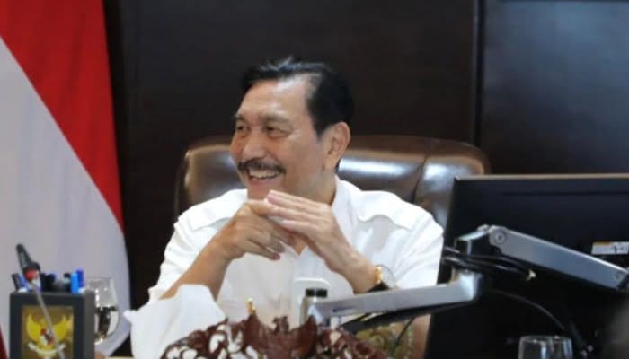 Harga Tiket Pesawat Indonesia Termahal Kedua Setelah Brasil, Ini Kata Luhut