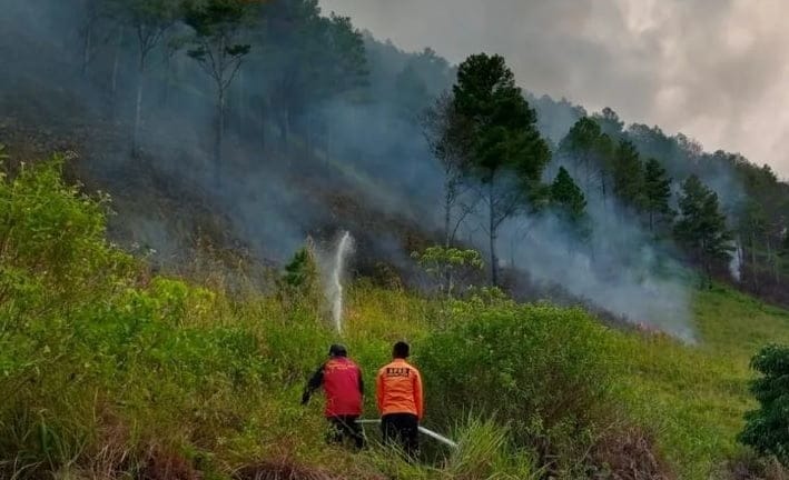 Foto: Upaya Pamadaman Kebakaran Hutan yang Dilakukan Petugas Gabungan di Samosir (Dok: Ist)