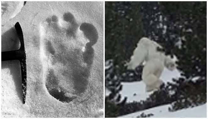 Yeti Tertangkap Kamera Di Himalaya, Misteri Akhirnya Terungkap?