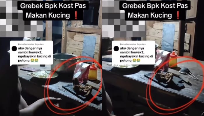 Bapak Kos Diduga Makan Kucing untuk Obat Diabetes