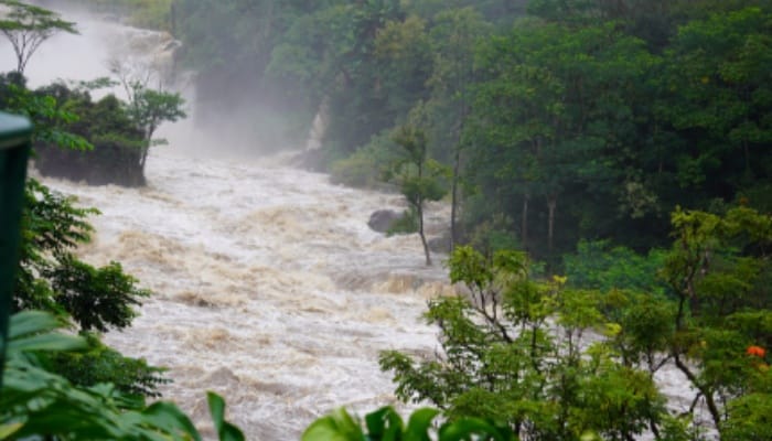 6 Arti Mimpi Banjir, Tanda Banyak Rezeki dan Sukses dalam Pekerjaan?