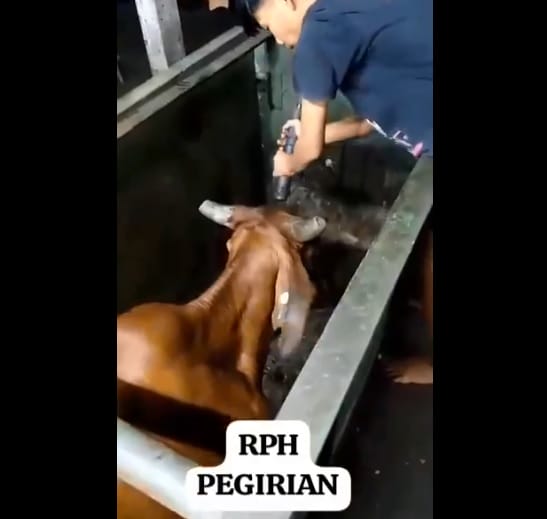 RPH Girian Surabaya