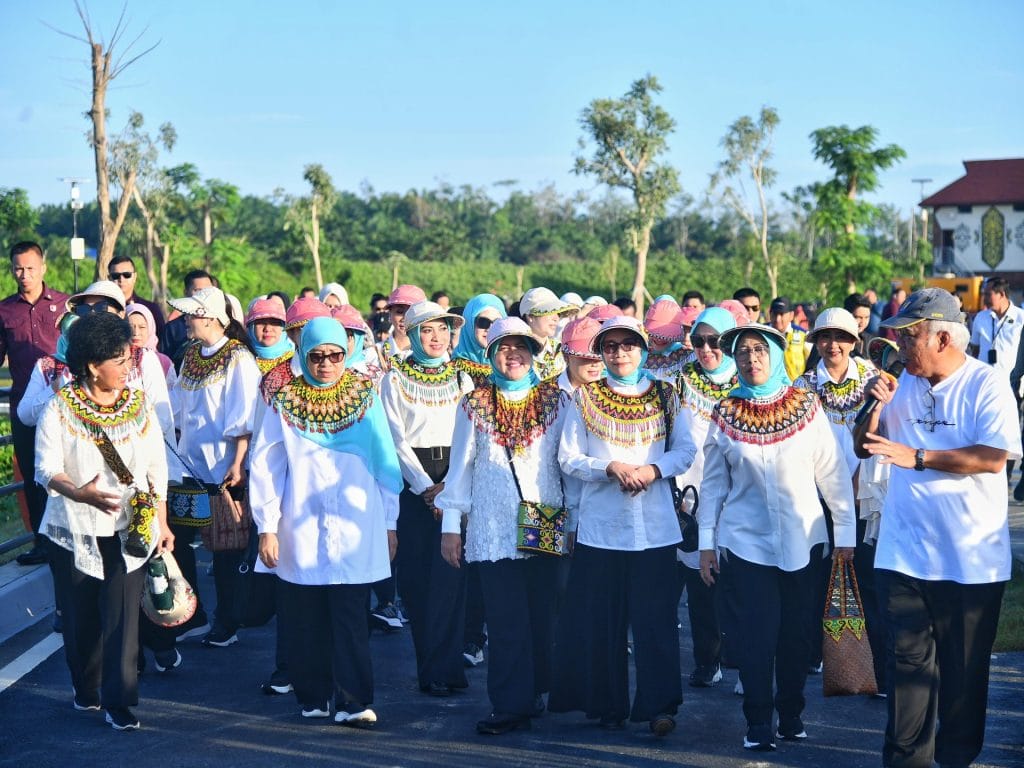 Iriana Joko Widodo