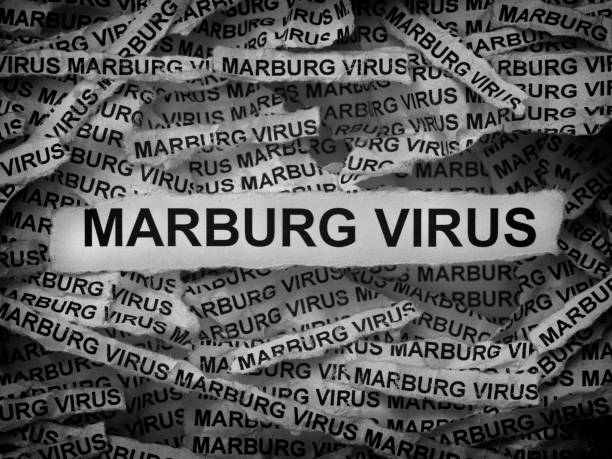 Penyakit ini biasanya menyebar melalui kontak dengan hewan yang terinfeksi, seperti kelelawar rousette Mesir. Virus ini juga dapat menyebar dari orang ke orang melalui kontak dengan cairan tubuh penderita.